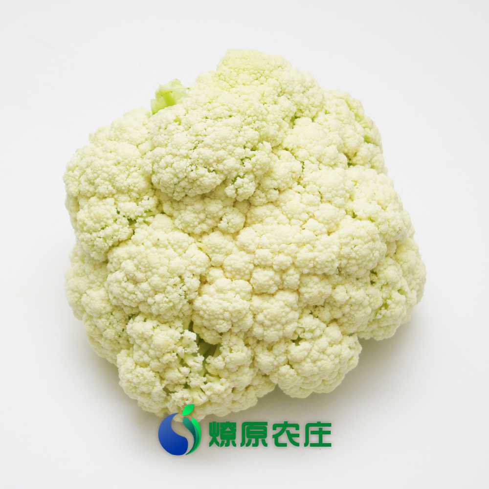 蔬菜名称:【燎原特惠】菜花优质菜花绿色种植绿色无公害蔬菜新鲜青菜顺丰